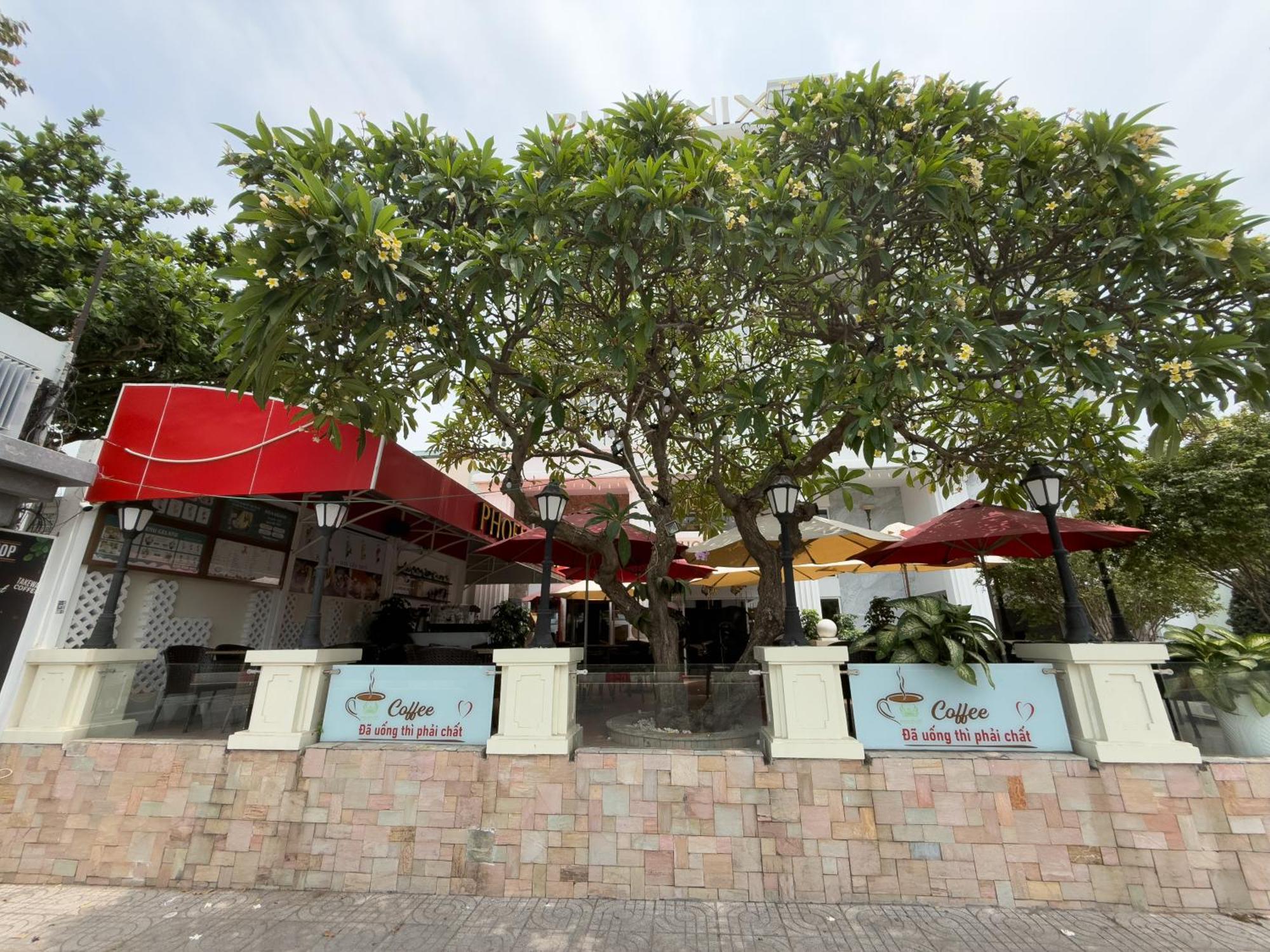 Phoenix Hotel Vung Tau Bagian luar foto